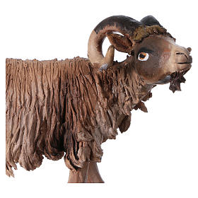 Pesebre Angela Tripi: Cabrón Belén Angela Tripi 18 cm Pesebre Angela Tripi: Cabrón Belén Angela Tripi 18 cm