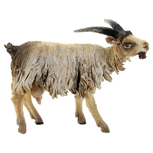 Young goat 18cm Angela Tripi 1
