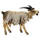 Young goat 18cm Angela Tripi s1