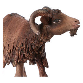 Presepe Angela Tripi: Capretta Presepe Angela Tripi 18 cm