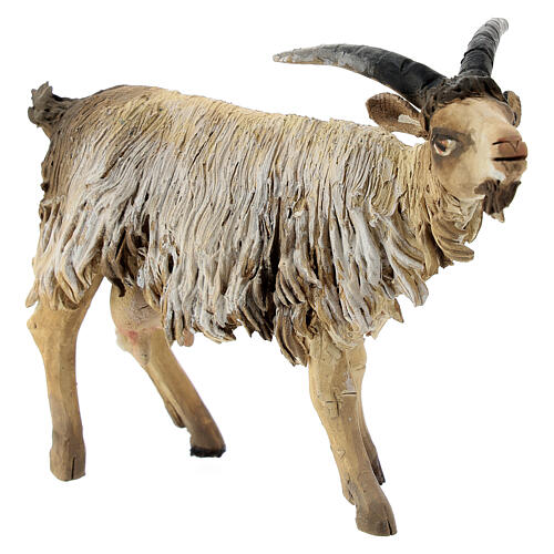 Young goat 18cm Angela Tripi 2