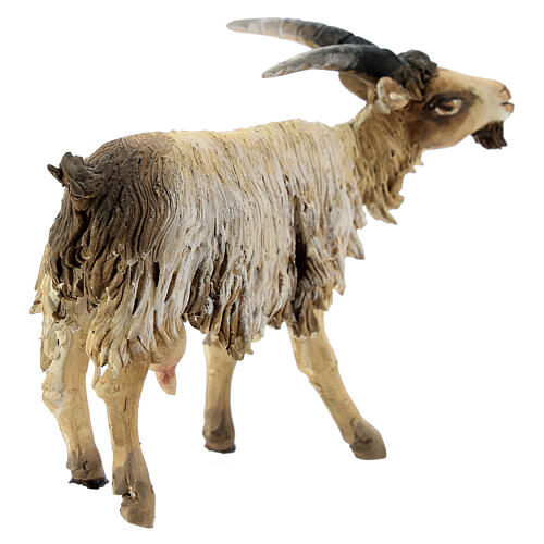 Young goat 18cm Angela Tripi 5