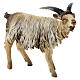 Young goat 18cm Angela Tripi s2