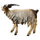 Young goat 18cm Angela Tripi s4
