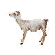 Goat in terracotta for 30cm nativities Angela Tripi s1