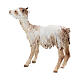 Goat in terracotta for 30cm nativities Angela Tripi s2