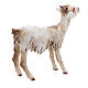 Goat in terracotta for 30cm nativities Angela Tripi s4