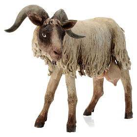 Small Goat 30cm Angela Tripi