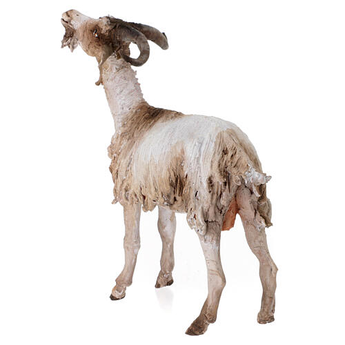 Small Goat 30cm Angela Tripi 5