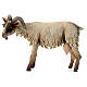 Small Goat 30cm Angela Tripi s1