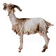 Small Goat 30cm Angela Tripi s1