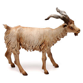 Pesebre Angela Tripi: Cabra 30 cm Belén Angela Tripi terracota Pesebre Angela Tripi: Cabra 30 cm Belén Angela Tripi terracota