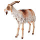 Cabra 30 cm Belén Angela Tripi terracota s3