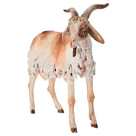 Chèvre 30 cm crèche Angela Tripi en terre cuite