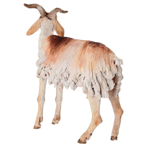 Chèvre 30 cm crèche Angela Tripi en terre cuite 5