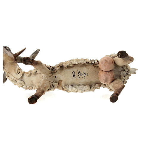 Koza 30 cm szopka Angela Tripi z terakoty 7