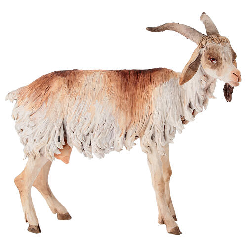 Cabrito 30 cm presépio Angela Tripi em terracota 1
