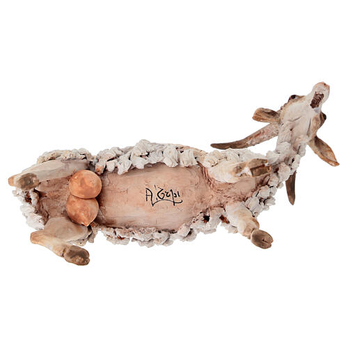 Cabrito 30 cm presépio Angela Tripi em terracota 6