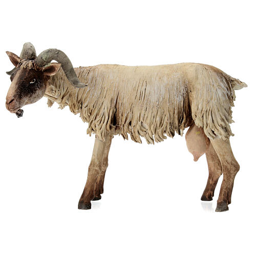 Small Goat 30cm Angela Tripi 1