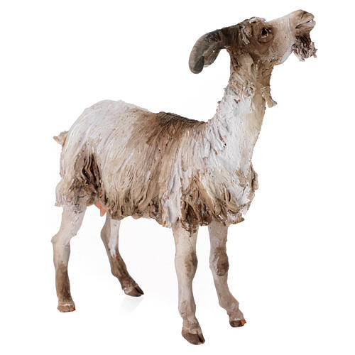 Small Goat 30cm Angela Tripi 3