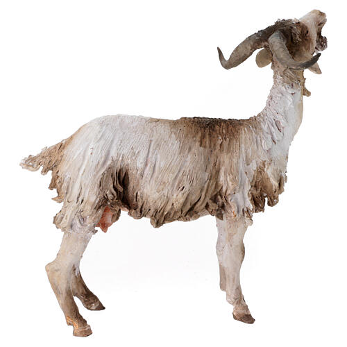 Small Goat 30cm Angela Tripi 4