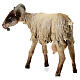 Small Goat 30cm Angela Tripi s3
