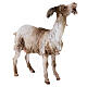 Small Goat 30cm Angela Tripi s3