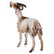 Small Goat 30cm Angela Tripi s5