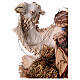 Camello arrodillado con hombre durmiendo 18 cm Angela Tripi s4