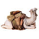 Camello arrodillado con hombre durmiendo 18 cm Angela Tripi s8