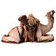 Camel crouching next to Sleeping Man 18cm Angela Tripi s5