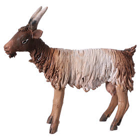 Krippenfiguren von Angela Tripi: Braune Ziege 13cm Angela Tripi