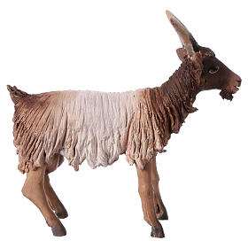 Presepe Angela Tripi: Capra bianca marrone testa alta 13 cm Angela Tripi