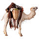 Nativity scene harnessed camel figurine 13 cm Angela Tripi s5