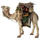 Nativity scene harnessed camel figurine 13 cm Angela Tripi s1
