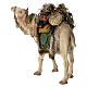 Nativity scene harnessed camel figurine 13 cm Angela Tripi s6