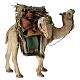 Nativity scene harnessed camel figurine 13 cm Angela Tripi s5
