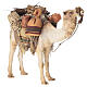 Nativity scene harnessed camel figurine 13 cm Angela Tripi s3