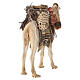 Nativity scene harnessed camel figurine 13 cm Angela Tripi s5