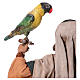 Homem com papagaio 30 cm presépio Angela Tripi s6