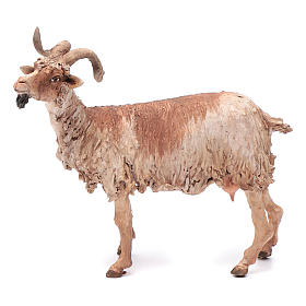 Pesebre Angela Tripi: Cabra para belén 30 cm Angela Tripi Pesebre Angela Tripi: Cabra para belén 30 cm Angela Tripi