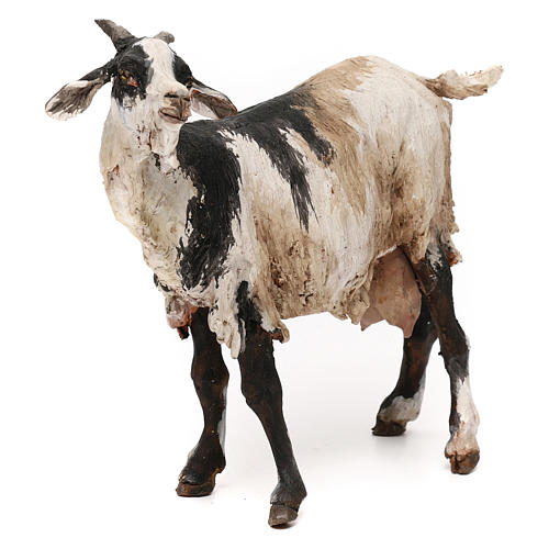 Chèvre pour crèche 30 cm Angela Tripi 3