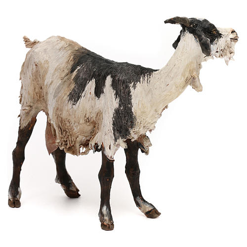 Chèvre pour crèche 30 cm Angela Tripi 4