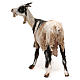 Chèvre pour crèche 30 cm Angela Tripi s5