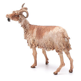 Presepe Angela Tripi: Capra per presepe 30 cm Angela Tripi