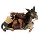 Donkey carrying loads 18cm, Angela Tripi Nativity Scene figurine s1