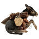 Donkey carrying loads 18cm, Angela Tripi Nativity Scene figurine s4