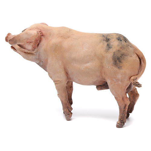 Cerdo para belén Angela Tripi 18 cm 4