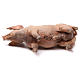 Cerdo para belén Angela Tripi 18 cm s6