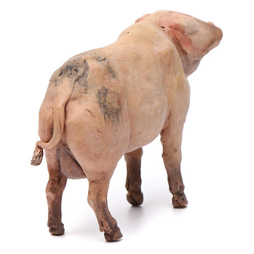 Cochon pour crèche Angela Tripi 18 cm 3